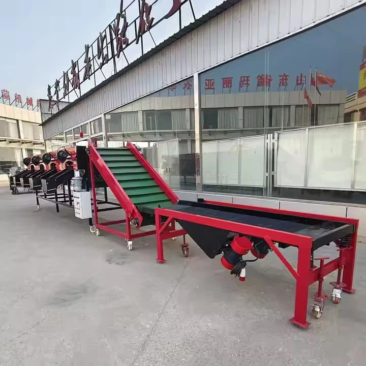 Portable Garlic Sorting Equipment Foldable Sorter Include Brush Machine, Loading Table, Sorting Host Garlic Sorter